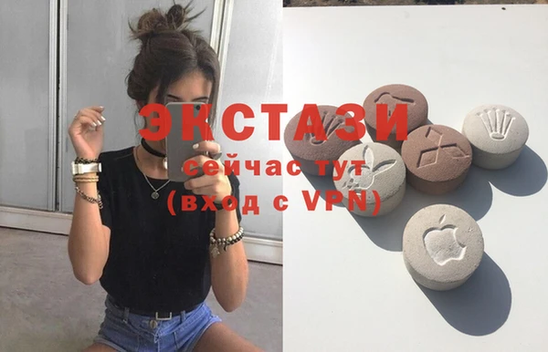 мдпв Грязовец