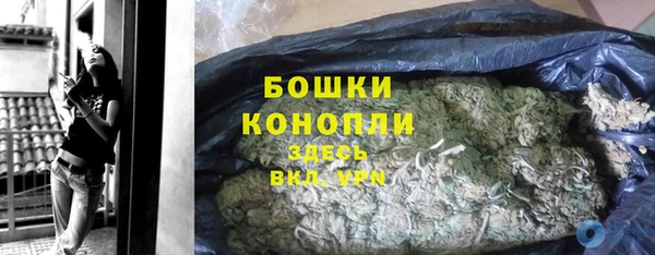 молекула духа Нязепетровск
