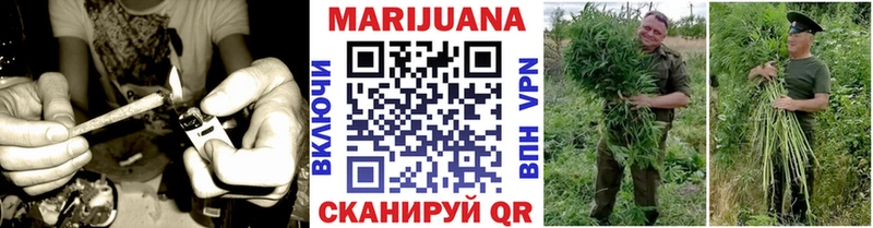 Бошки марихуана гибрид Котово